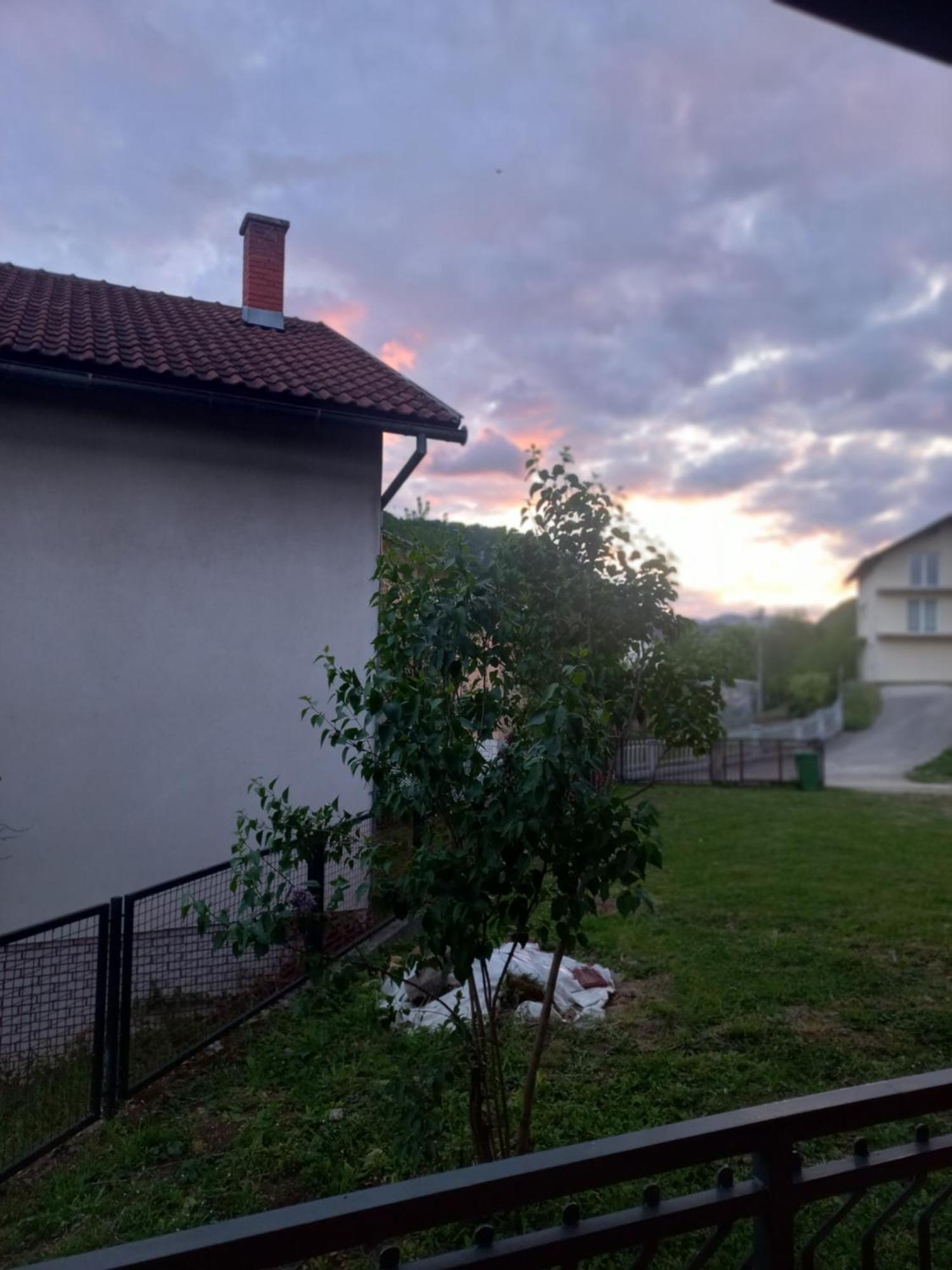 Dzeneta